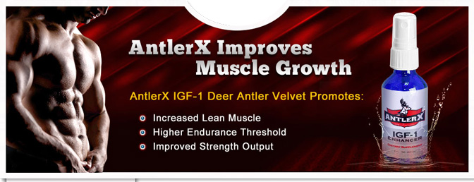 Antler-X