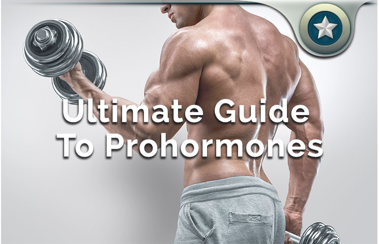 ultimate guide to prohormones