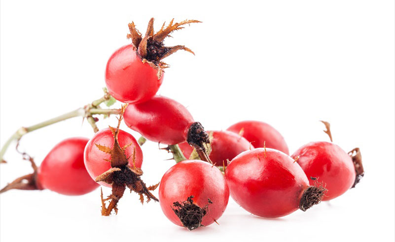 Natural Rose Hip Extract