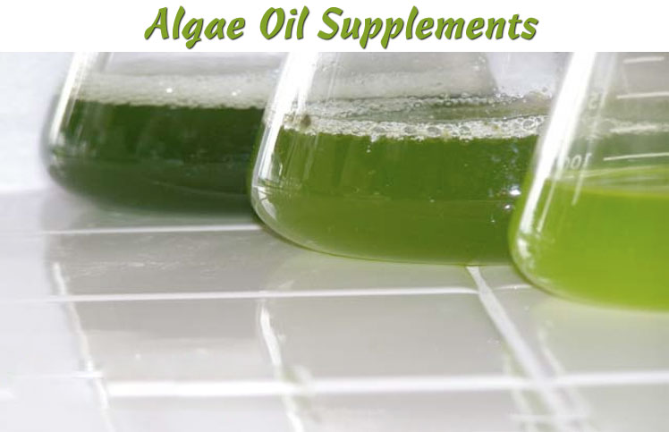 Algae-Oil-Supplements