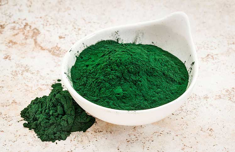 Algae-Protein-Powder
