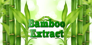 Bamboo Extract Bamboo-Extract