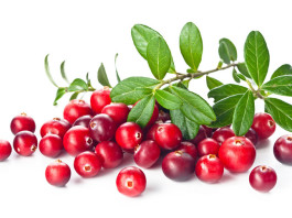 Cranberry-Protein