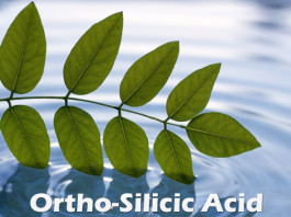 Orthosilicic-Acid