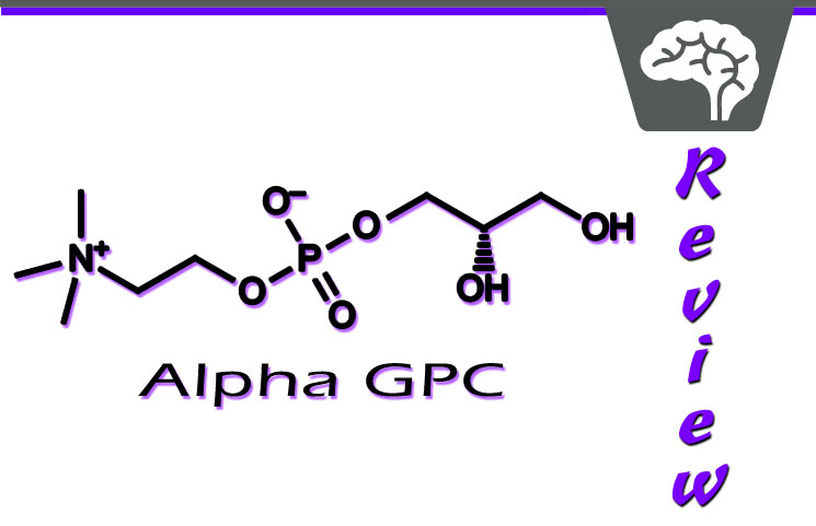 Alpha GPC