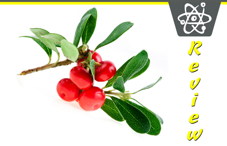 Bearberry-Extract