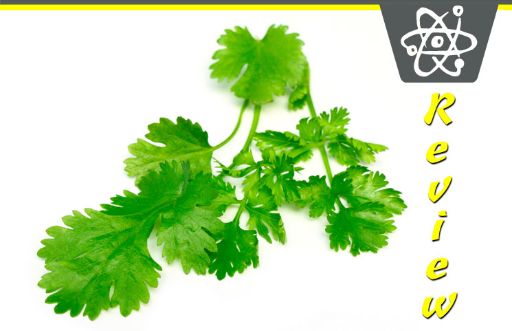 Coriander Essential Oil