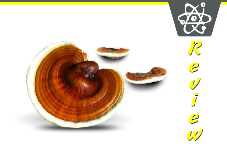 Ganoderma-Lucidum