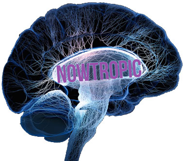 nowtropic brain booster benefits