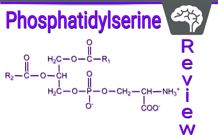 Natrogix Phosphatidyl Serine