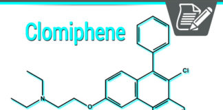Clomiphene Review – SERM Estrogen Blocker For Boosting Testosterone?