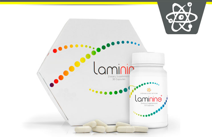 laminine