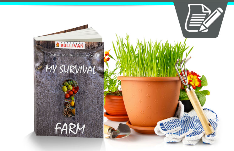 My Survival Farm Review