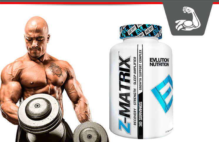 EVLution Nutrition Z-Matrix