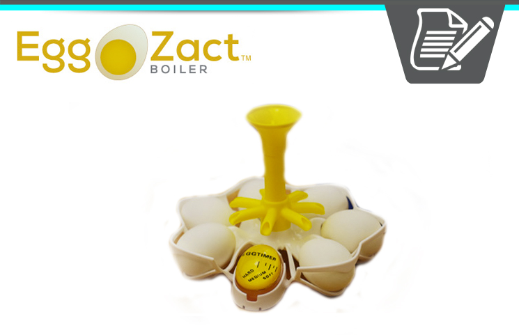 EggZact Boiler