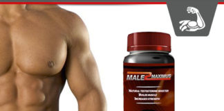 Male Maximus – Natural Testosterone Booster Builds Muscle? Male Maximus