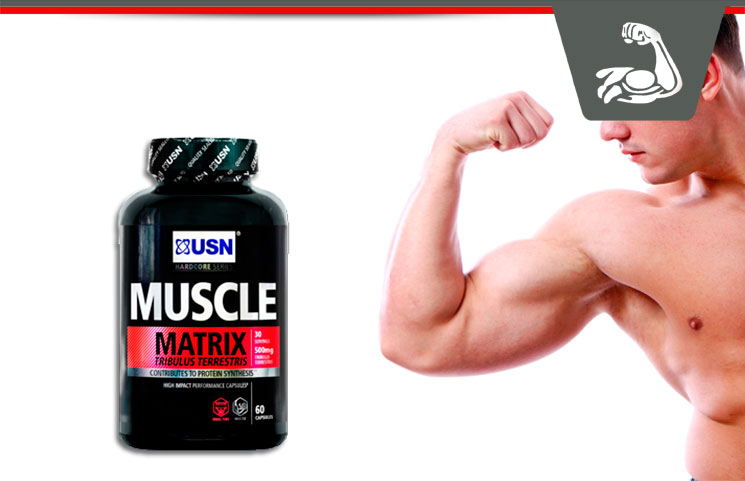 muscle matrix