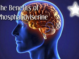 Benefits of Phosphatidylserine