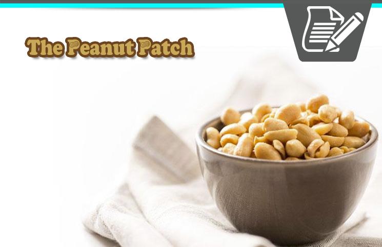 the-peanut-patch