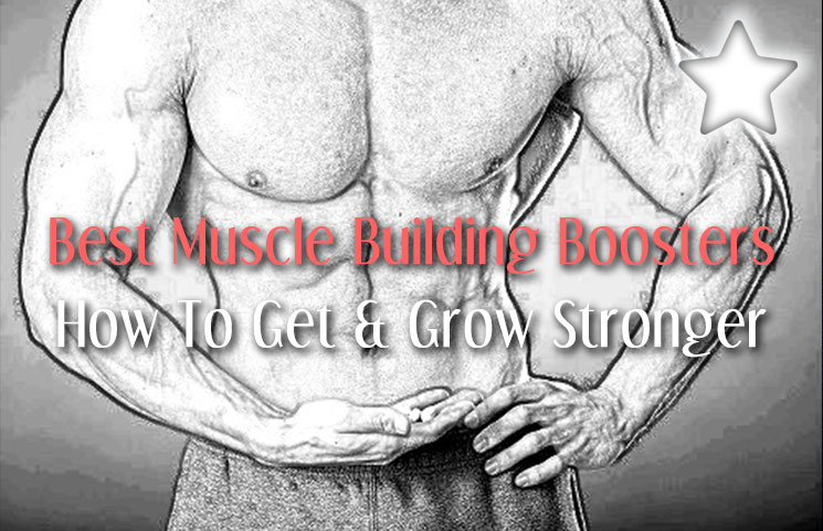 Best Muscle Building Foods