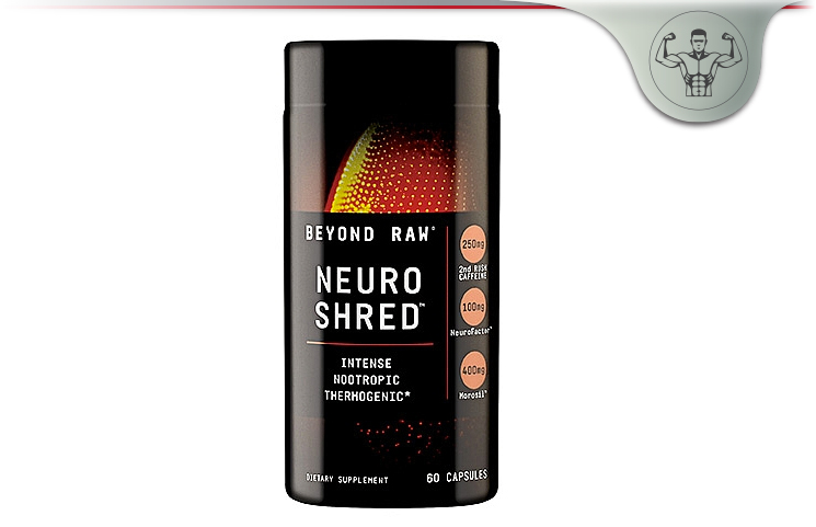 Beyond Raw Neuro Shred
