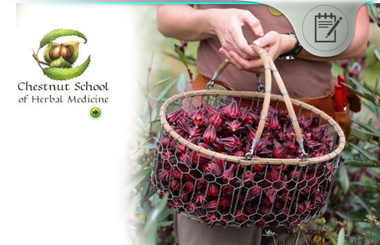 Chestnut School of Herbal Medicine
