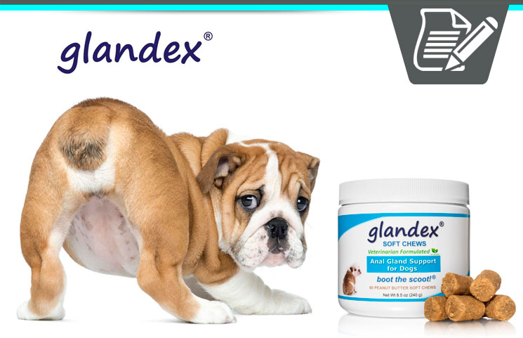 Glandex