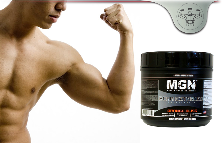Muscle Gauge Nutrition BCAA Extended Performance