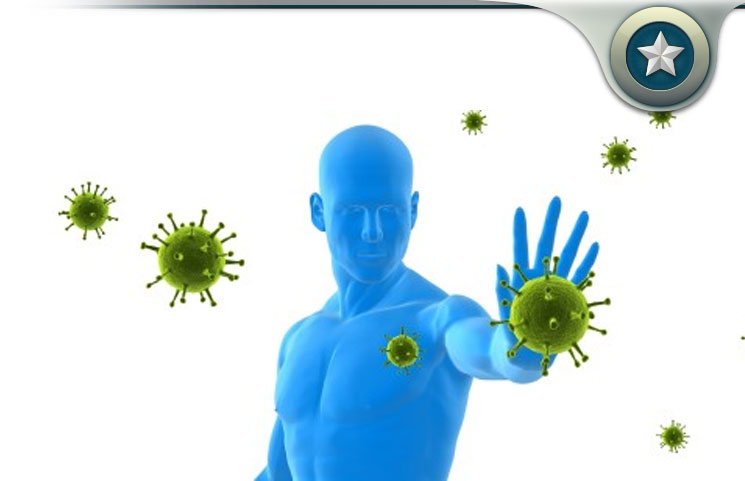 Some Ways to Enhance Your Immune System's Performance