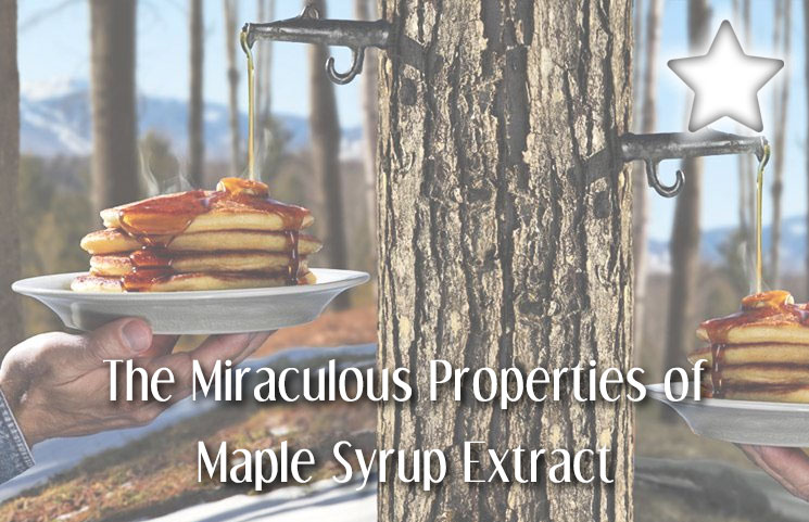 Pure Maple Syrup Extract