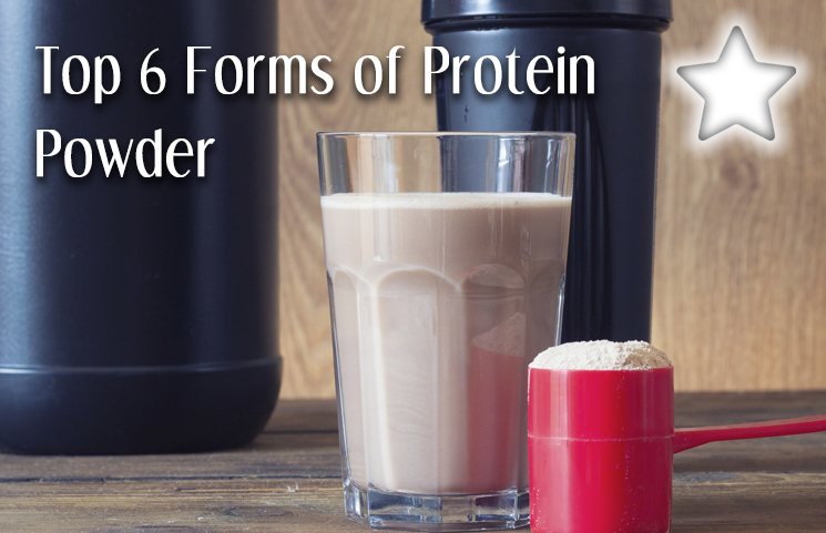 top protein powders