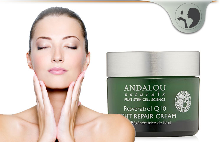 Resveratrol Q10 Night Repair Cream