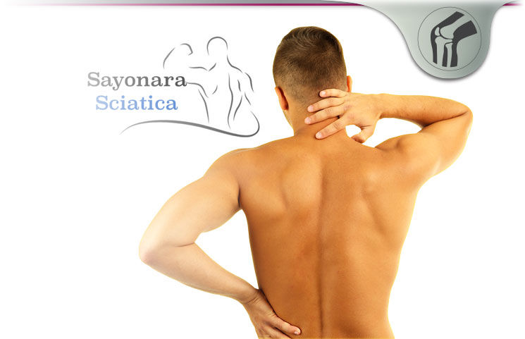 Sayonara Sciatica System