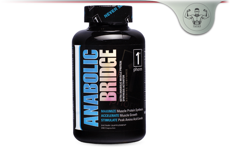 Anabolic Bridge