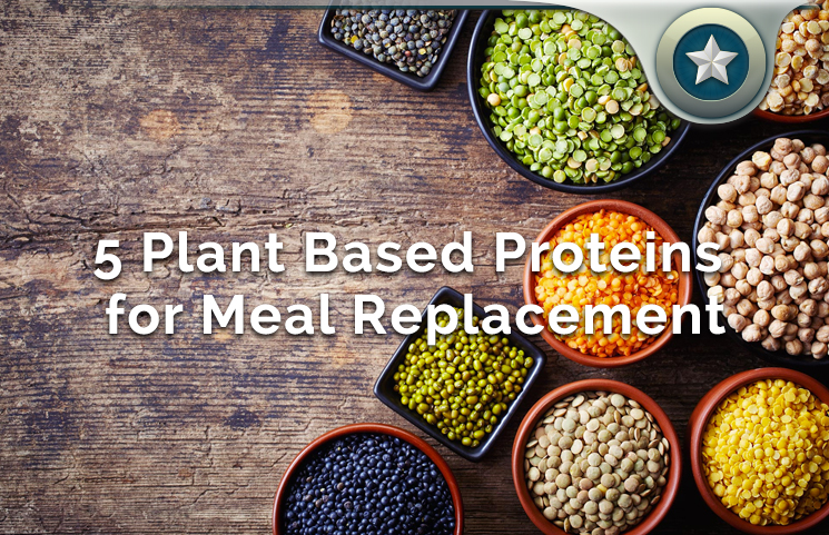 5 Plant Based Proteins for Making A Healthy Meal Replacement Shake