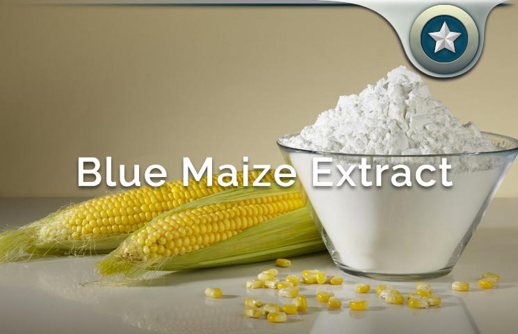 Blue Maize Extract