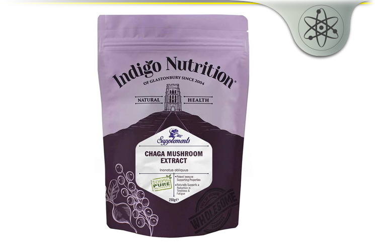 chaga mushroom extract powder