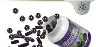 CurraNz Black Currant – Healthy Anthocyanin-Rich Superfood? CurraNz Black Currant