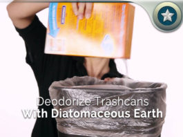 Deodorize-Trashcans-With-Diatomaceous-Earth