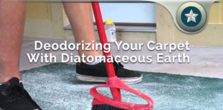 Deodorizing Your Carpet With Diatomaceous Earth Benefits