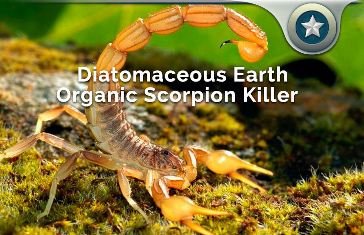 Diatomaceous Earth Organic Scorpion Killer