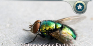 Diatomaceous Earth Organic Fly Repellent – How Well Does It Work?