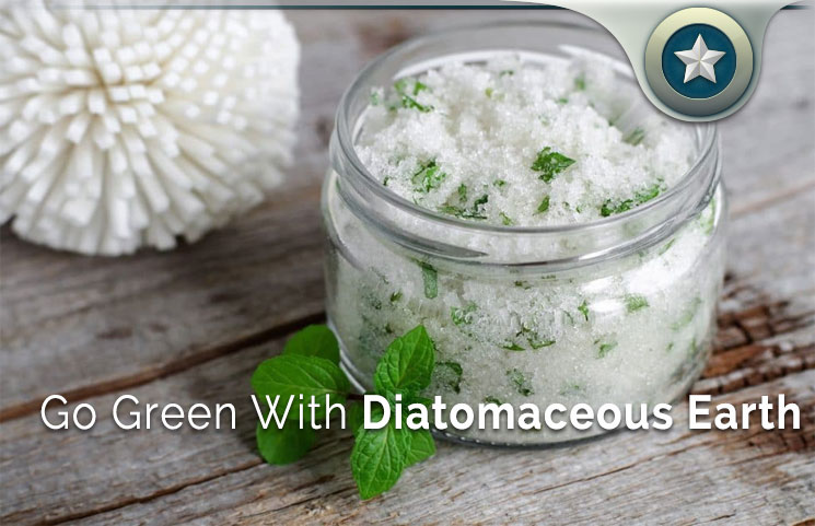 Go-Green-With-Diatomaceous-Earth