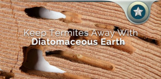 Keep Termites Away From Your Home With Diatomaceous Earth