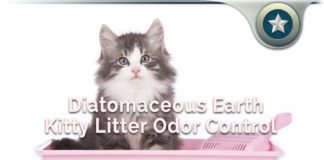 Diatomaceous Earth Kitty Litter Odor Control – Safe For Cats? Kitty Litter Odor Control