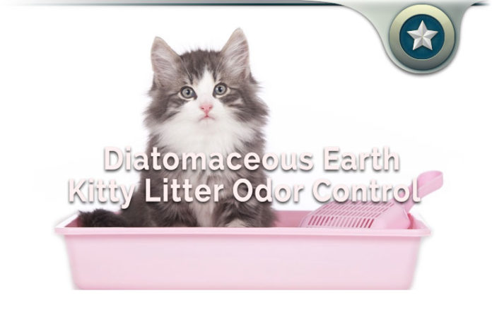 Diatomaceous Earth Kitty Litter Odor Control Review Safe For Cats?