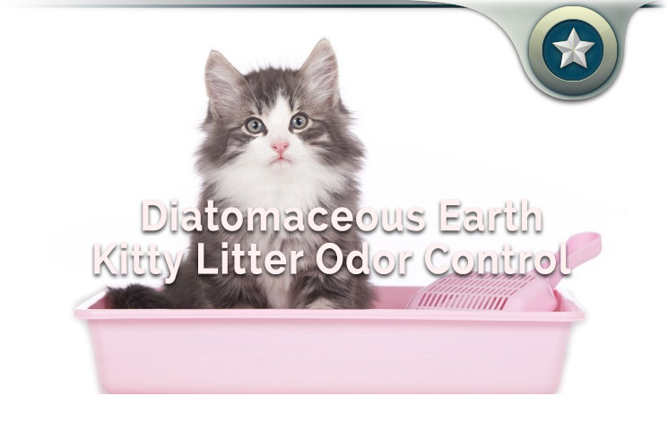 Kitty Litter Odor Control