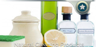 Diatomaceous Earth Cleaning Products Review – Does It Help?