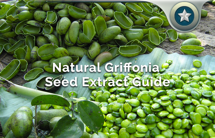 Natural Griffonia Seed Extract Guide