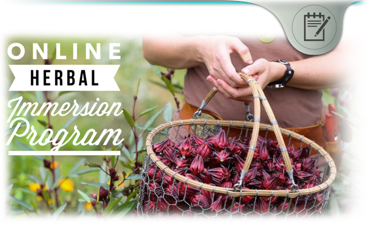 Chestnut School Online Herbal Immersion Program